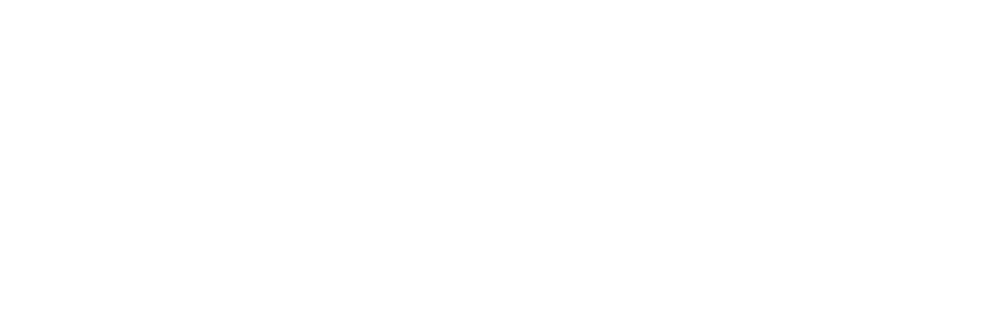 vietweb