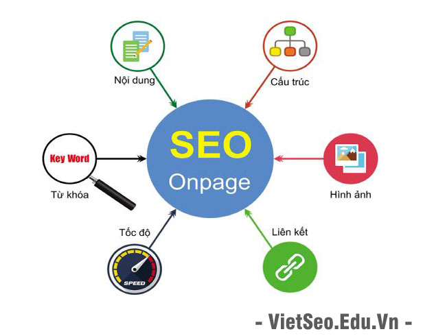 Entity là gì và cách xây dựng Entity hiệu quả cho website?