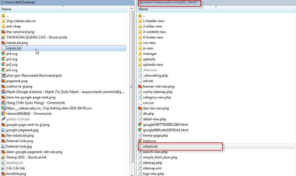 File Robot SEO là gì và cách tạo File robots.txt cho Web?