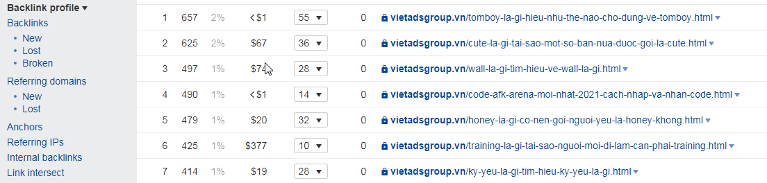Ahref là gì và hướng dẫn sử dụng công cụ Ahref phân tích SEO?
